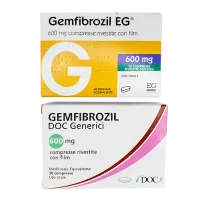 Фото Гемфиброзил Италия 600мг №30
